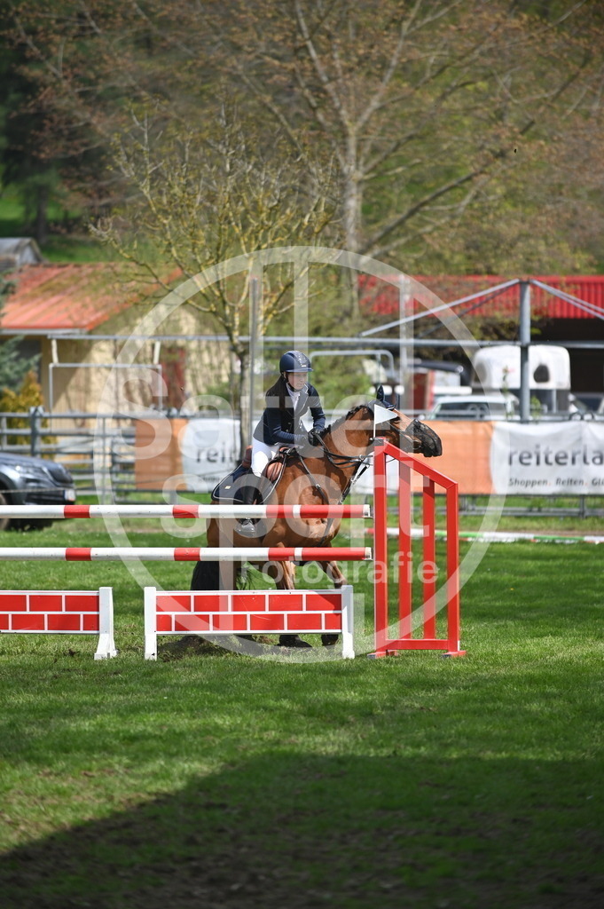 DSC_2583 | sattelsport - Realisiert mit Pictrs.com