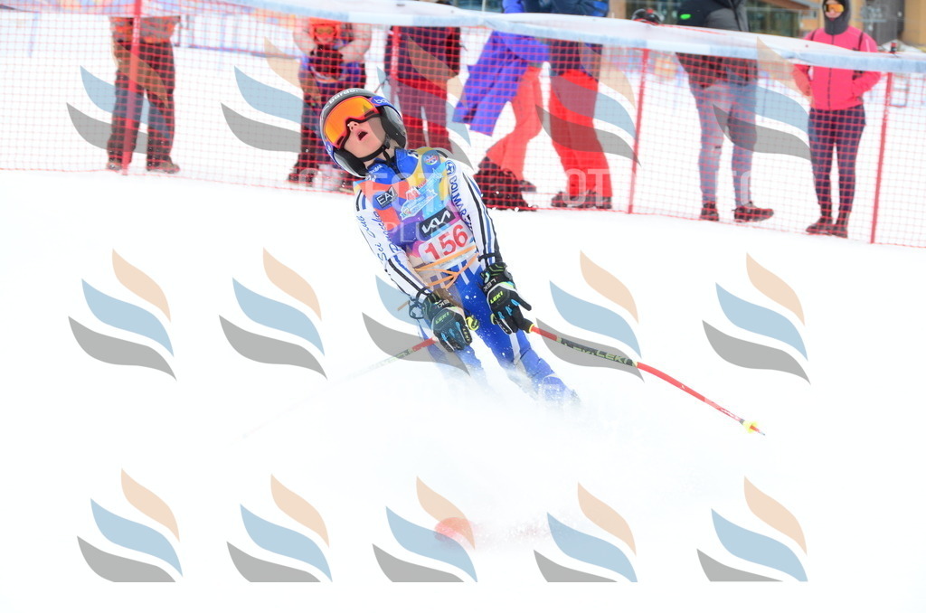 DSC_1494 | holidayphoto