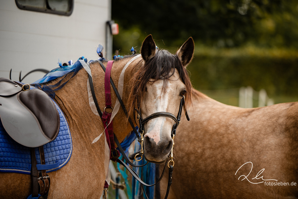 846A0008 | fotosleben - Realisiert mit Pictrs.com