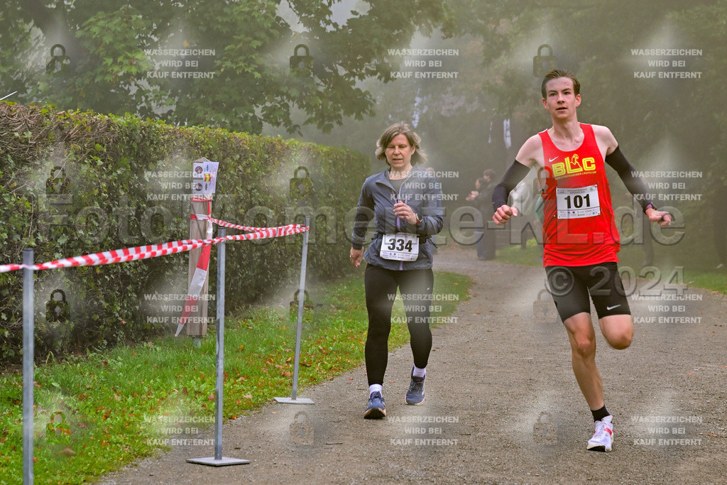 Z8N_1218 | la-psv - Realisiert mit Pictrs.com