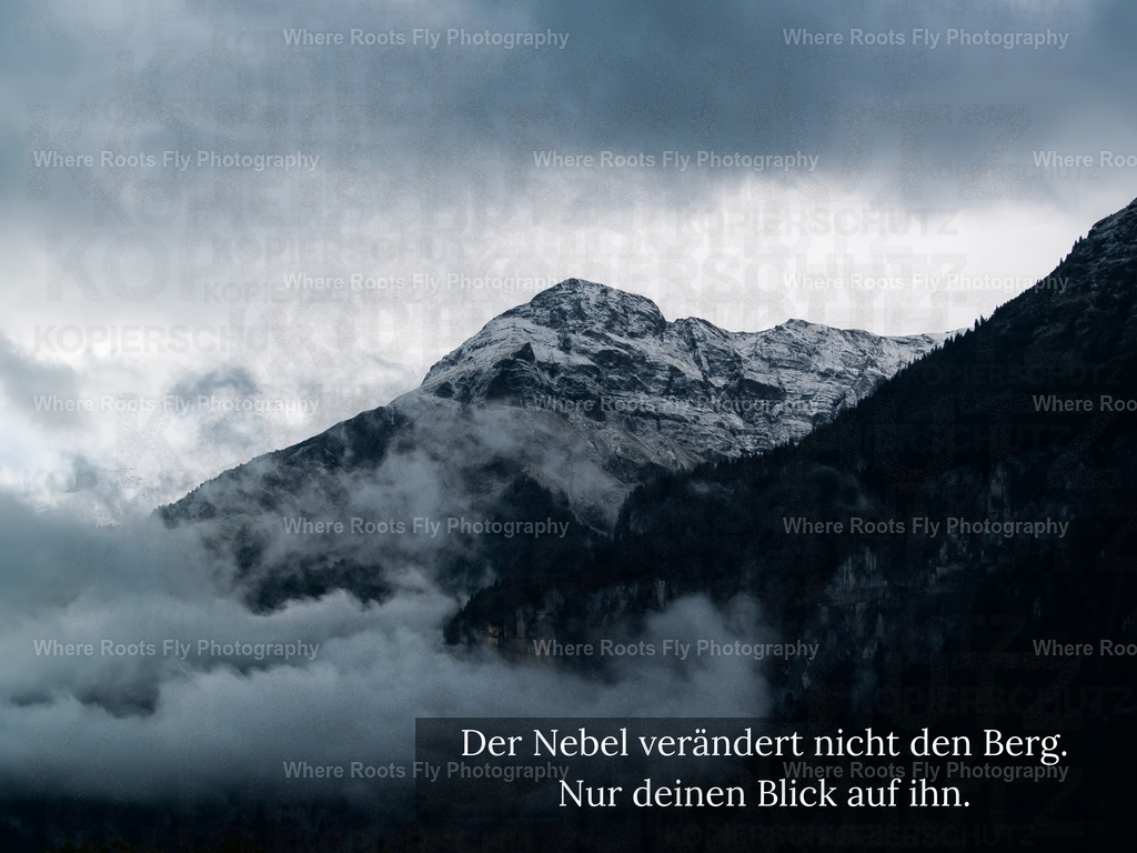 Affirmationskarten - 1 | mtkfoto_ - Realisiert mit Pictrs.com