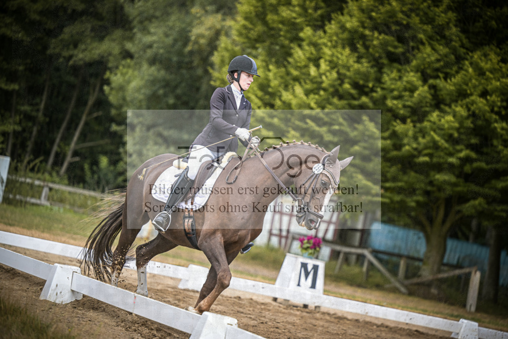 DOS_4949 | Entdecke hochwertige Reitturnierfotos von Foto Oger. Professionell, emotional und authentisch – jetzt Lieblingsmomente im Shop bestellen.Deutschlandweite Turnierfotografie. - Realisiert mit Pictrs.com