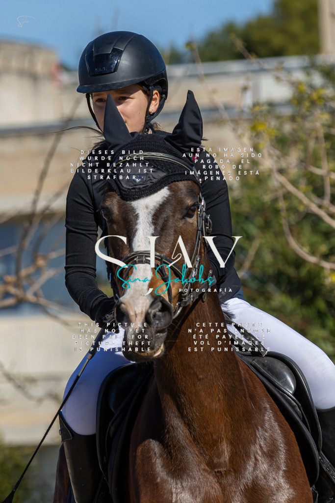 IMG_8611 | s-jay-photography - Realisiert mit Pictrs.com