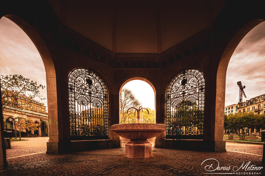 _DSC4425 | Fotografien, Fotos und Bilder aus Mainz, Frankfurt, Wiesbaden und anderen Orten auf der Welt - Fotografiert von Darius Metzner