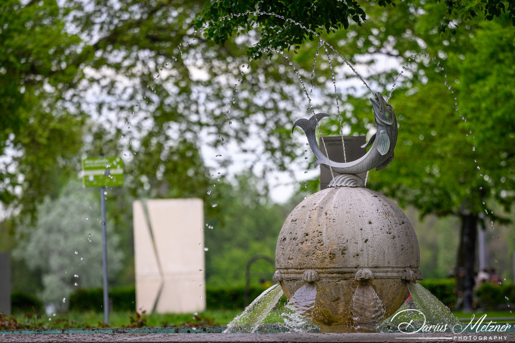 Der Fischtorbrunnen | Der Fischtorbrunnenam Fischtorplatz in Mainz