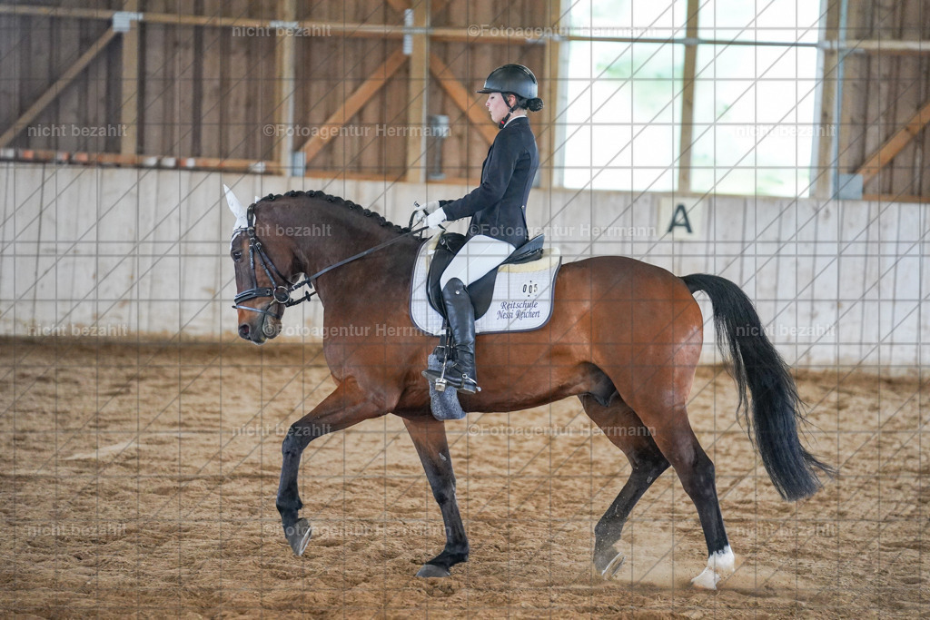 20230521-FAH06381 | Frühjahrsturnier, Landsberg am Lech, 2023, Reitclub Landsberg, Turnierbilder, Fotos Turnier Landsberg, Fotoagentur Herrmann, Turnierfotografen Bayern, Reitsport Fotograf, Pferde Fotograf