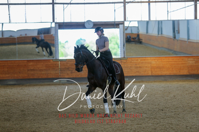 IMG_3523 | Turniersportfotografie; Pferdefotografie; Dressurfotografie
