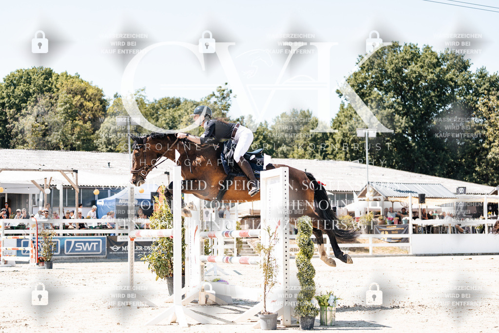 CK909841 | Turnierfotografie Pferdefotografie Trier Rheinland-Pfalz Pferdesport Reitsport Tierfotografie Sportfotografie Pferdevideo Pferdevideografie Equestrianvideography equestrianphotography  - Realisiert mit Pictrs.com