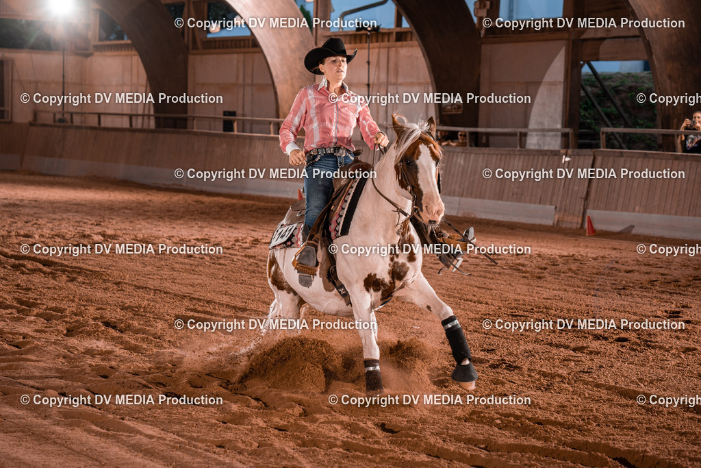 NE201511 | dv-media-shop - Realisiert mit Pictrs.com