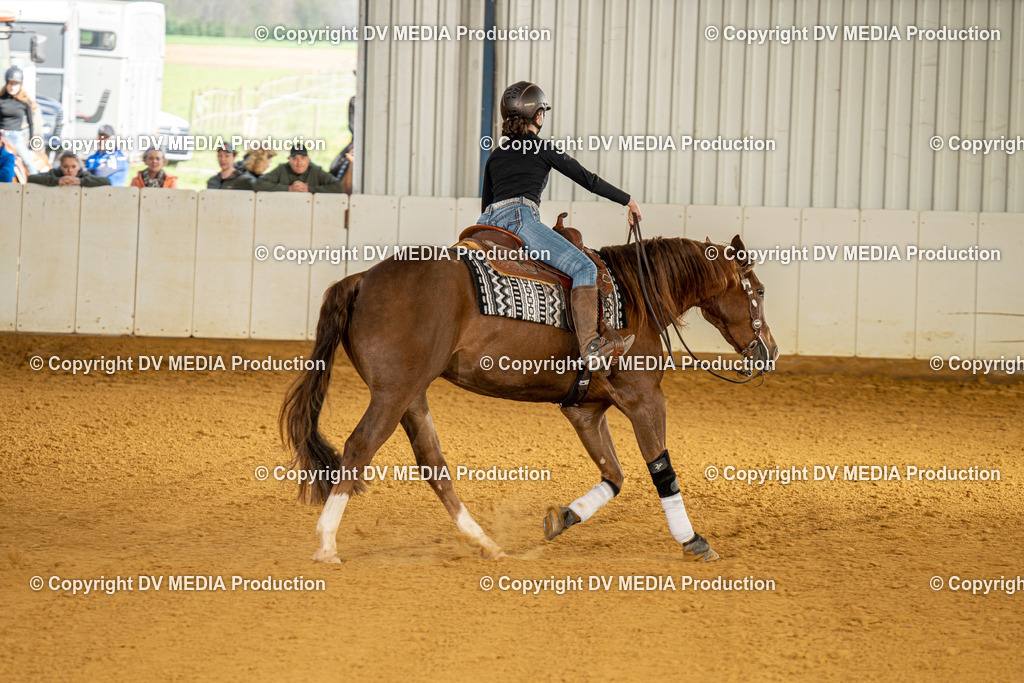 MIT00809 | dv-media-shop - Realisiert mit Pictrs.com