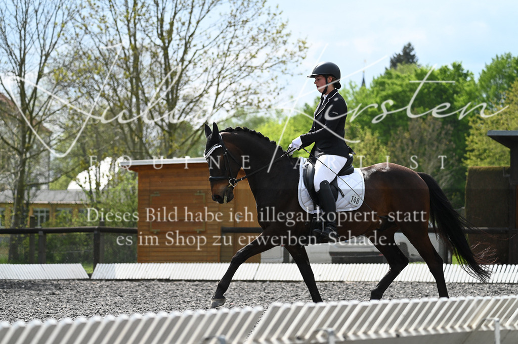 20230512_JK-Röhrsdorf-08-184 | Pferde- und Turnierfotografie in Westsachsen. Pferdeportraits, Auftragszeichnungen und intuitive Kunst.