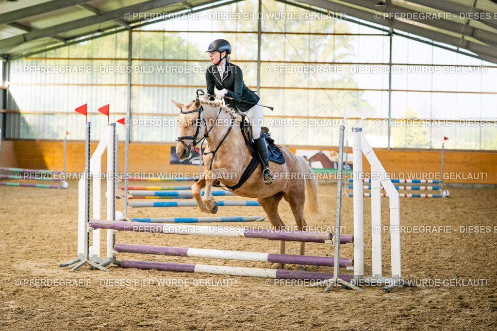 DSC00861 | Pferdegrafie