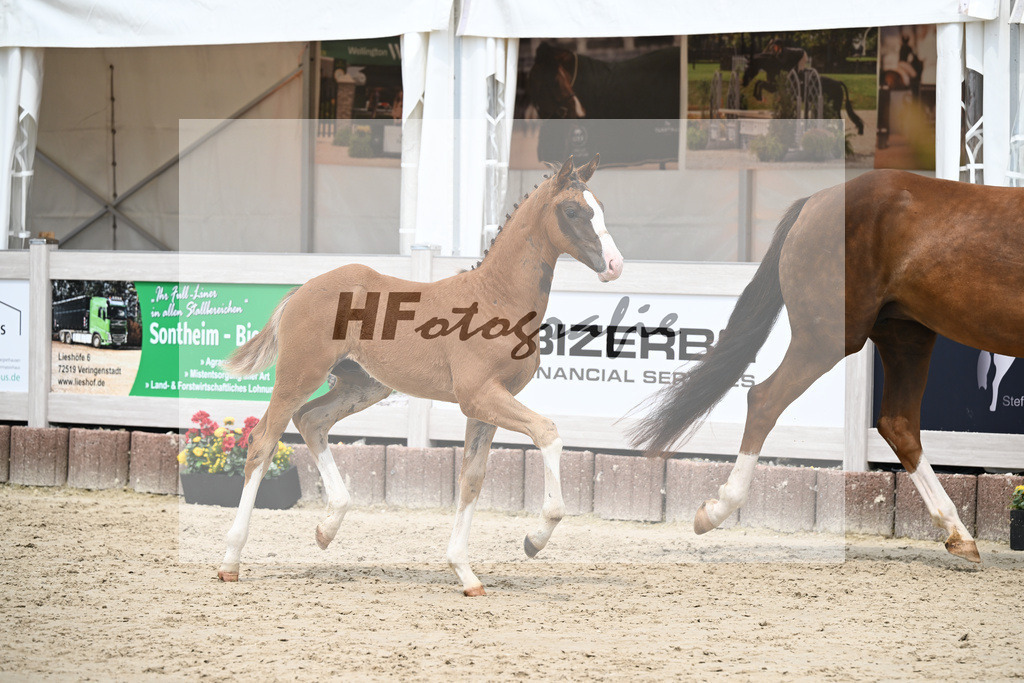 Filox x Borsalino_HF_Geiger_12250578 | hf-fotografie - Realisiert mit Pictrs.com