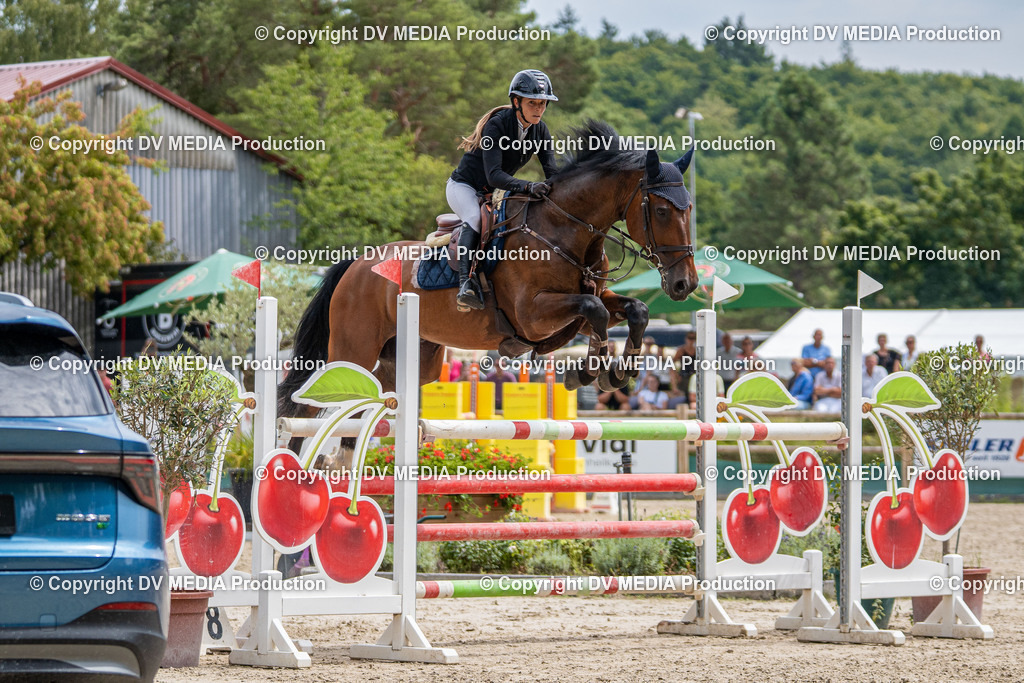 Hessische Tag 3-1432 | dv-media-shop - Realisiert mit Pictrs.com