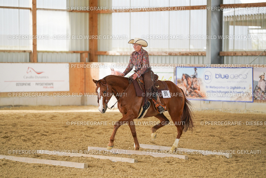 DSC03669 | Pferdegrafie