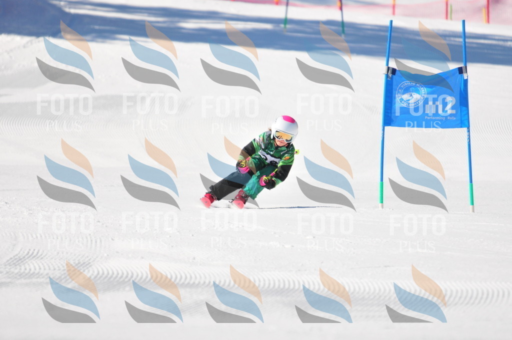 C2702 | holidayphoto