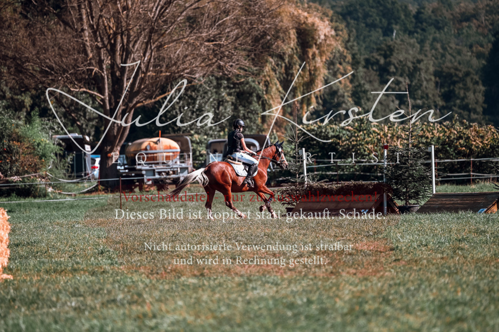 DSC_0932 | Pferde- und Turnierfotografie in Westsachsen. Pferdeportraits, Auftragszeichnungen und intuitive Kunst.