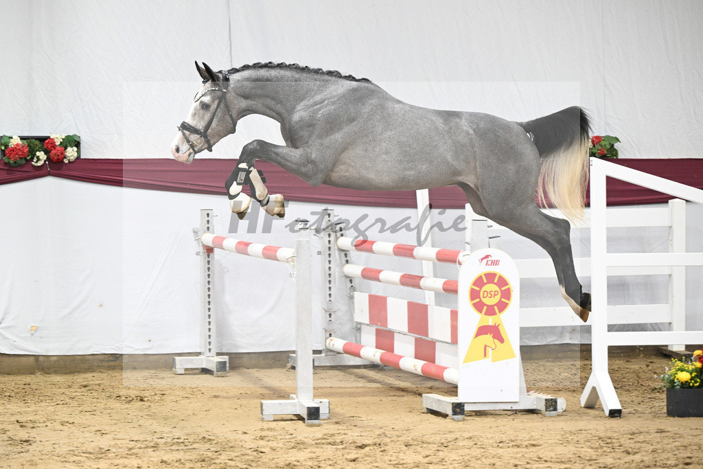 Kat-Nr. 83 Hickstead White x Chacco-Blue_Thomas Koeniger_47252824 | hf-fotografie - Realisiert mit Pictrs.com