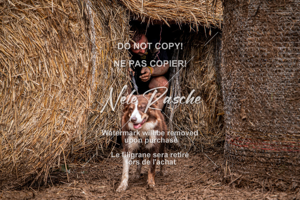 nelerasche_Hunsrück_So09-11_209 | nelerasche