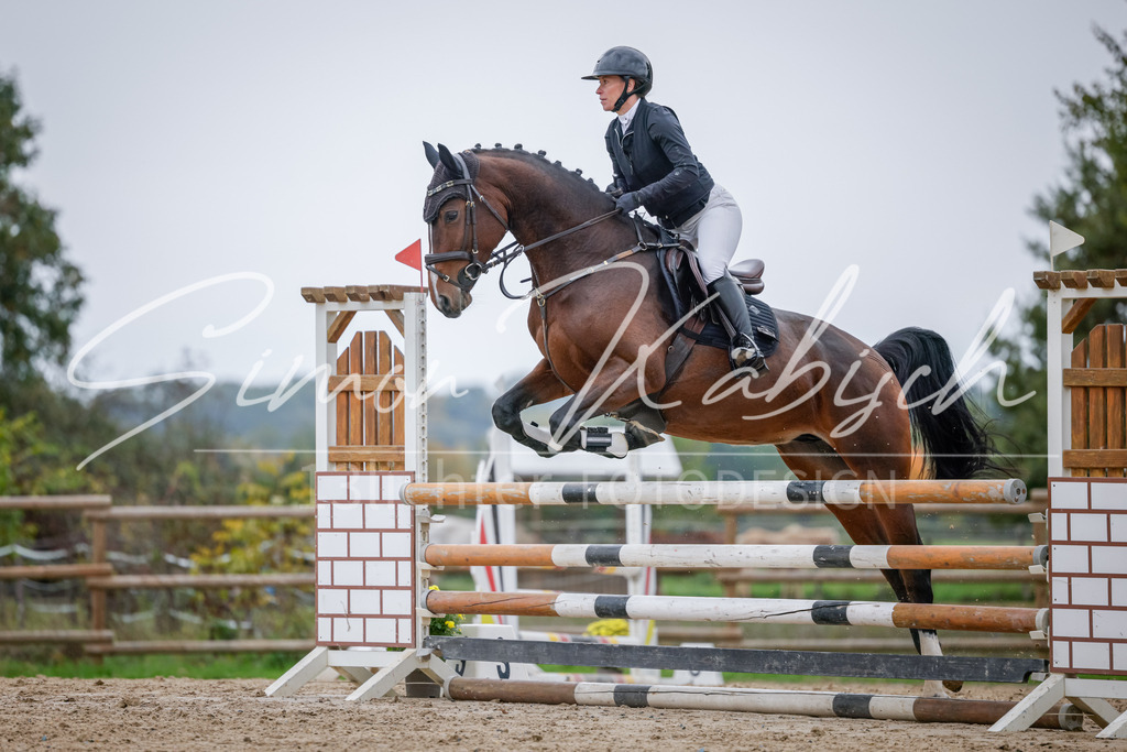 20251012-_3LI3964 | Tierfotografie Pferde, Hunde, Katzen, Haustiere.
Turnierfotografie Reitturniere, Reiten, Springreiten, Dressur in Hanau, dem Main-Kinzig-Kreis und dem Rhein-Main- Gebiet um Frankfurt