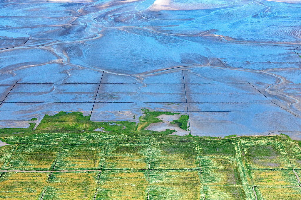 dr__0038857.jpg | WESTERHEVER 23.07.2019 Wattenmeer der Nordsee- Küste in Westerhever im Bundesland Schleswig-Holstein, Deutschland. // Wadden Sea of North Sea Coast in Westerhever in the state Schleswig-Holstein, Germany. Foto: Daniel Reiter