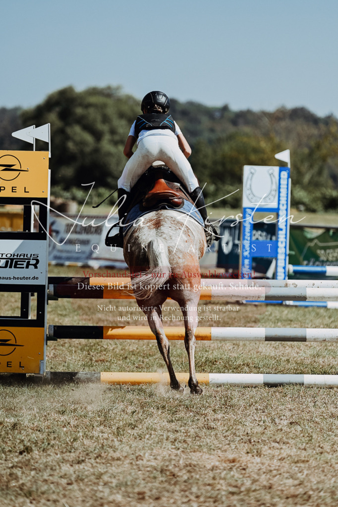 DSC_9763 | Pferde- und Turnierfotografie in Westsachsen. Pferdeportraits, Auftragszeichnungen und intuitive Kunst.