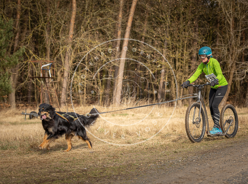 DV3A4848 | Hundefotografie, Tierfotograf, Pfotenfotografie, Fotoshooting Hund, Hunde Portrait, Hundesport, Hundeportraits, Heideshooting, Hunde, Sportfotograf, Hundefotograf, Turnierhundsport, THS,  - Realisiert mit Pictrs.com