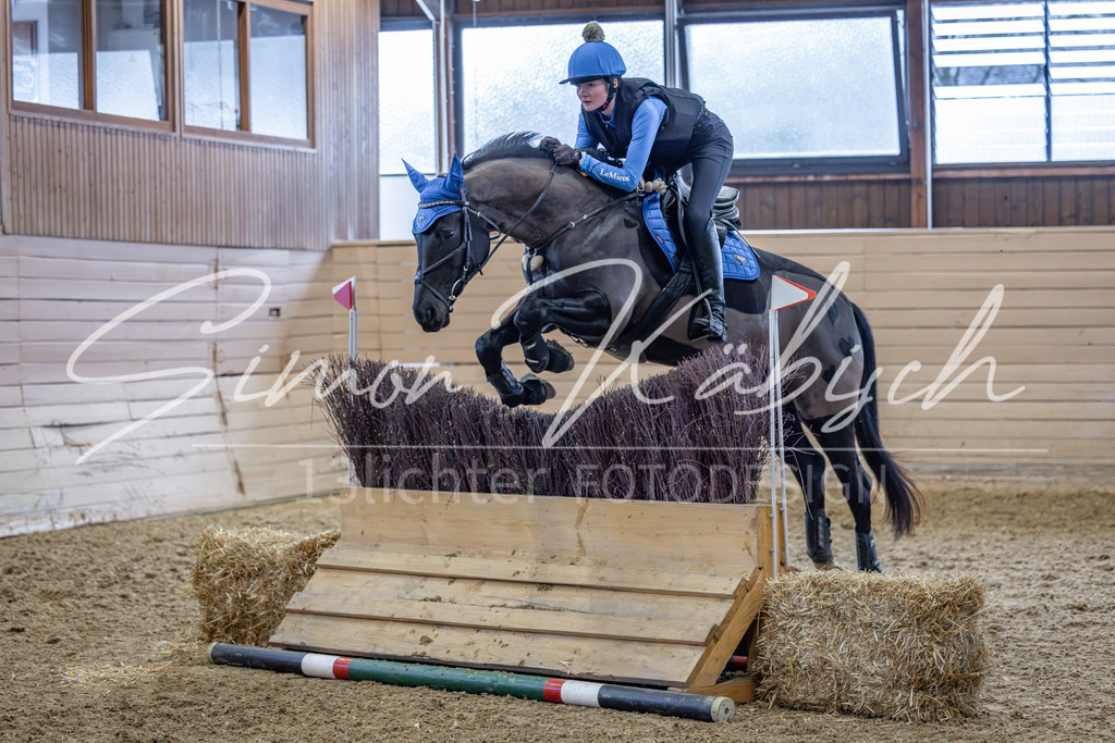 20260221-_3LI9081 | Tierfotografie Pferde, Hunde, Katzen, Haustiere.
Turnierfotografie Reitturniere, Reiten, Springreiten, Dressur in Hanau, dem Main-Kinzig-Kreis und dem Rhein-Main- Gebiet um Frankfurt