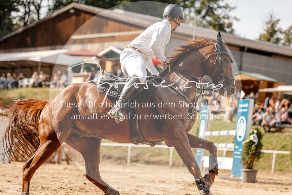 3I6A4627 | Stimmungsvolle Portraits und Reitsportfotografie im Ruhrgebiet und im Münsterland.

Pferdefotografie, Hundefotografie, Tierfotografie, Reportagen, Portraits von Tier und Mensch, Turnierfotografie in Bochum, Recklinghausen, Marl, Haltern am See, Dülmen.. - Realisiert mit Pictrs.com