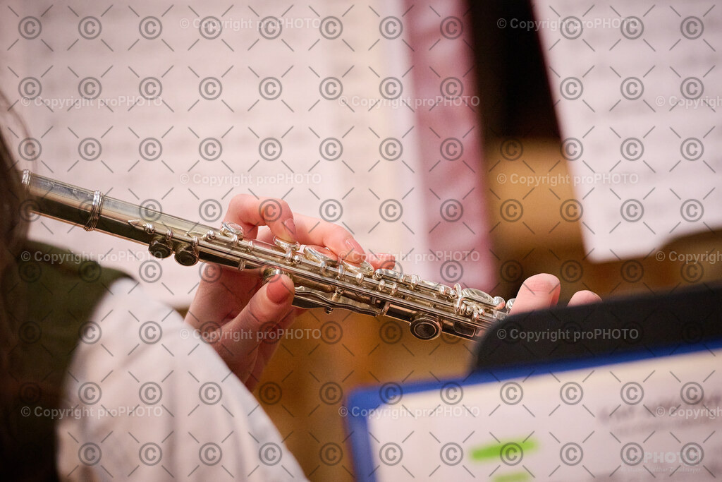 224_202601_MVS-Neujahrskonzert_NZ9_6211 | proPHOTO - Realisiert mit Pictrs.com