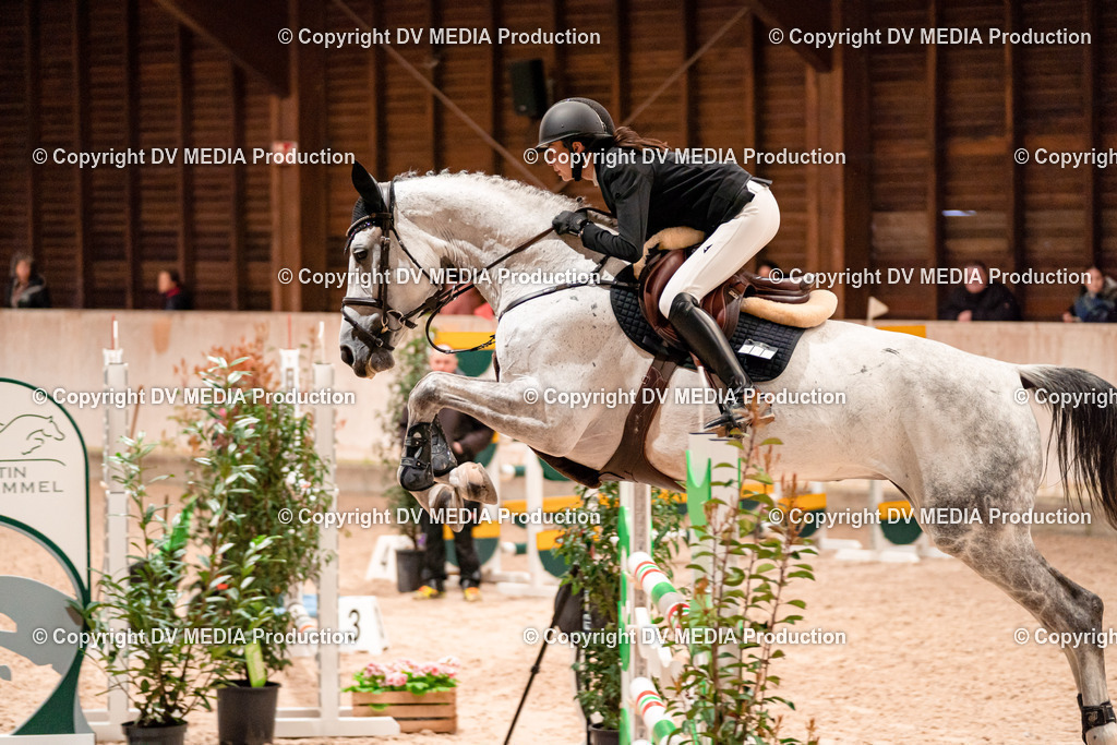 Springen Tag 1-393 | dv-media-shop - Realisiert mit Pictrs.com