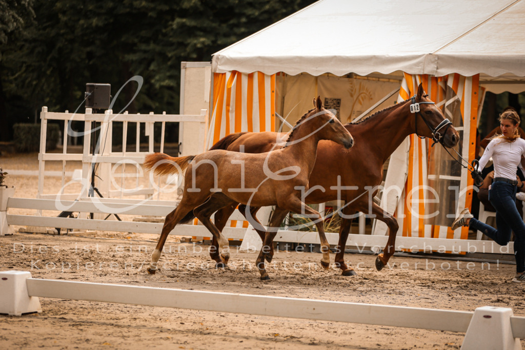 SaPA00173 | Leoni Ertmer Photography - Realisiert mit Pictrs.com