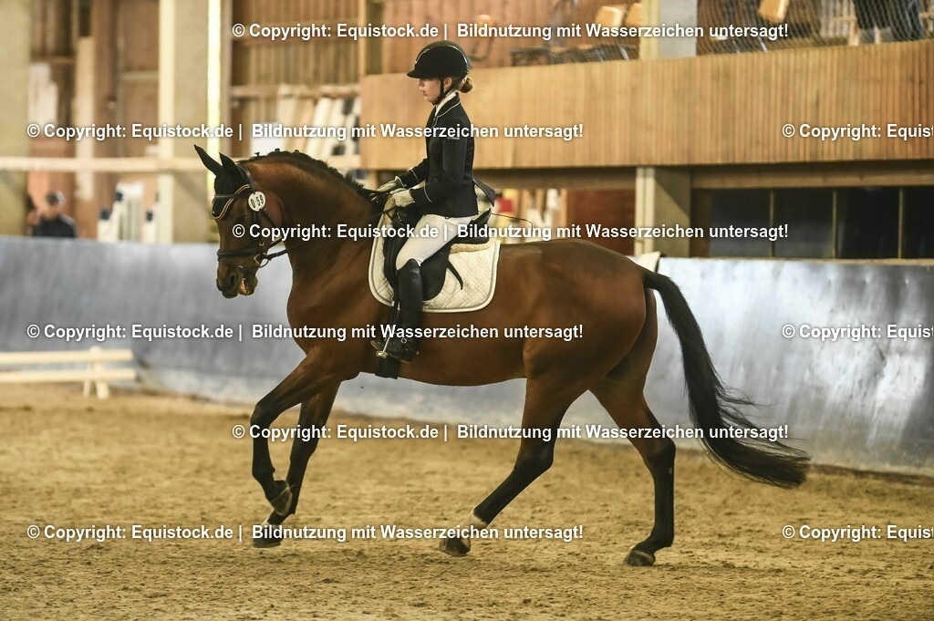 20231029_05_Dressur-A_0109 | Foto: Thomas Hartig