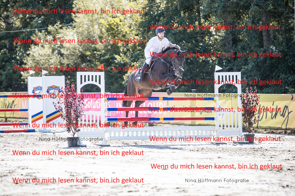 BK1A6351 | Turnierbilder Turnierfotos Nina Hüffmann Turnierfotografie Pferdefotografie Tierzeichnung Haustierzeichnung Pferdezeichnung Hundezeichnung Videograf  - Realisiert mit Pictrs.com
