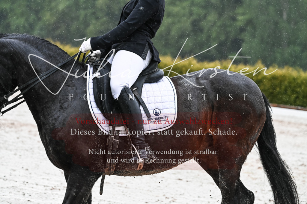 DSC_4681 | Pferde- und Turnierfotografie in Westsachsen. Pferdeportraits, Auftragszeichnungen und intuitive Kunst.