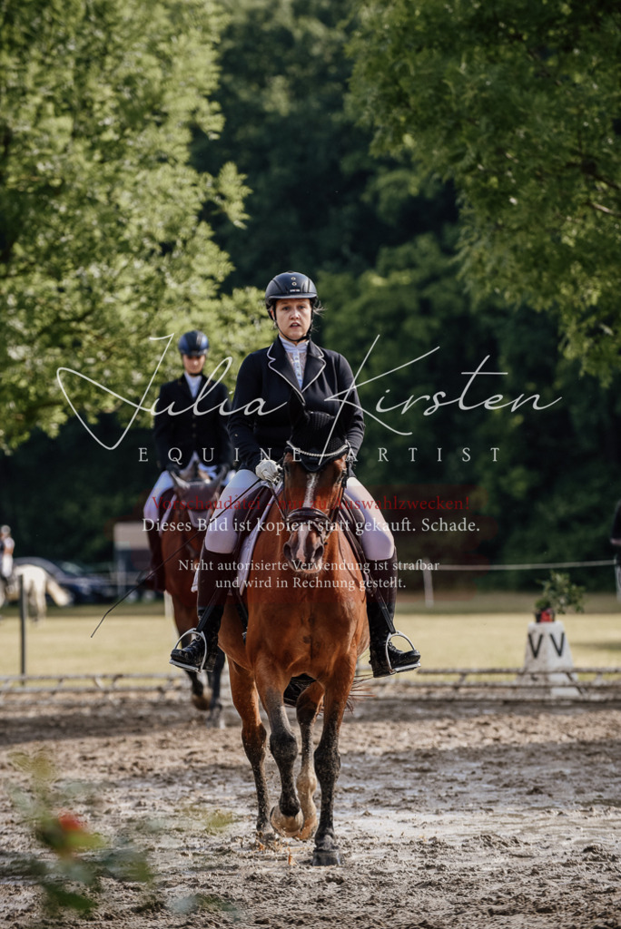 DSC_9018 | Pferde- und Turnierfotografie in Westsachsen. Pferdeportraits, Auftragszeichnungen und intuitive Kunst.