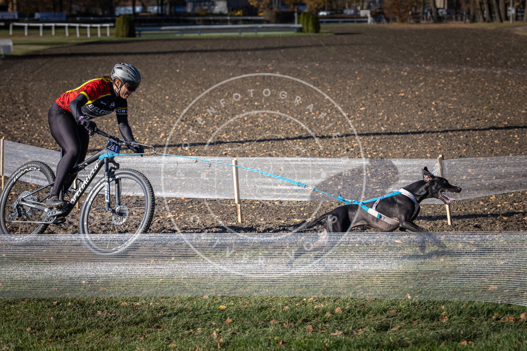 CaniXpix_DV3A4856 | Hundefotografie, Tierfotograf, Pfotenfotografie, Fotoshooting Hund, Hunde Portrait, Hundesport, Hundeportraits, Heideshooting, Hunde, Sportfotograf, Hundefotograf, Turnierhundsport, THS,  - Realisiert mit Pictrs.com