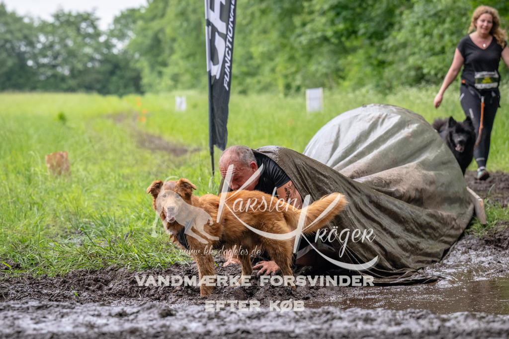 1623_ZZ93630 | kk-dogfotos