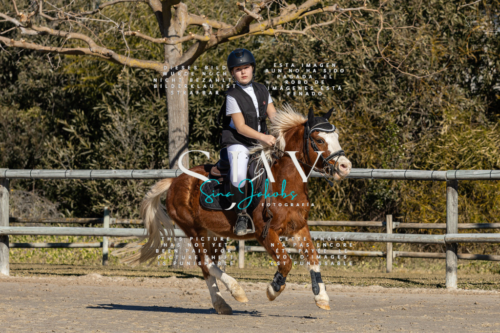 IMG_8134 | s-jay-photography - Realisiert mit Pictrs.com