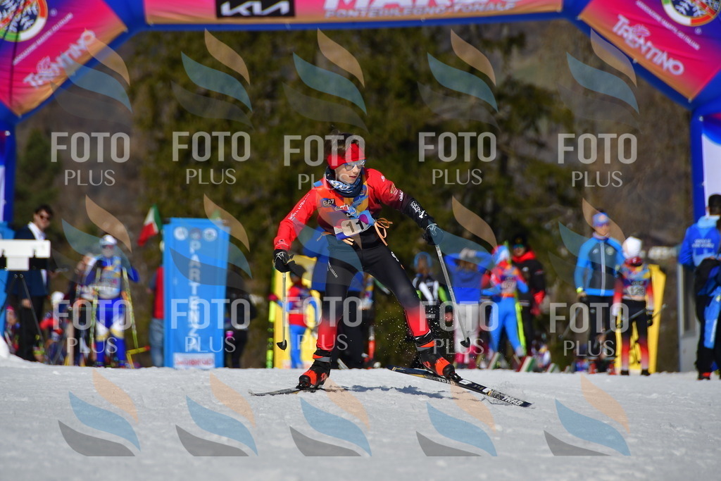 _DSC9777 | holidayphoto