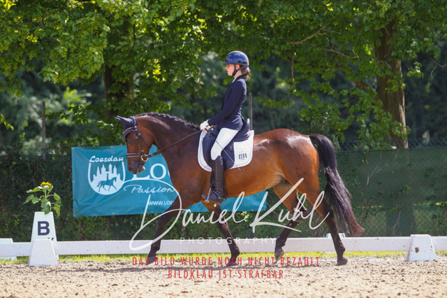 DKP42661 | Turniersportfotografie; Pferdefotografie; Dressurfotografie