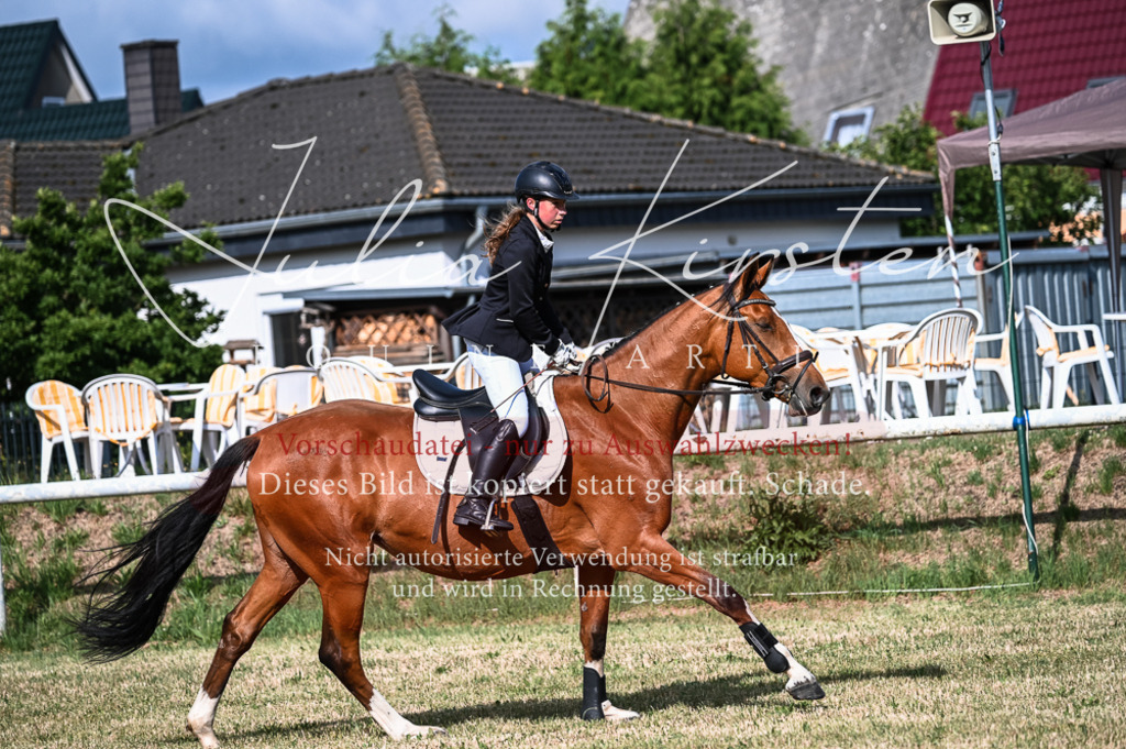 DSC_7706 | Pferde- und Turnierfotografie in Westsachsen. Pferdeportraits, Auftragszeichnungen und intuitive Kunst.