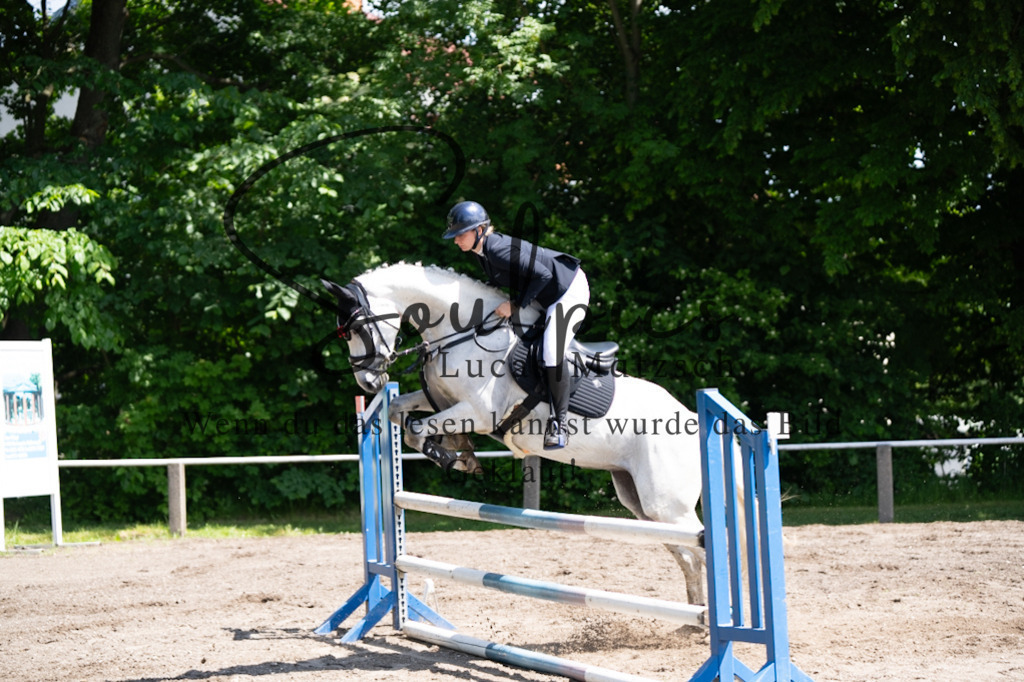 A7V04255 | Pferdefotograf