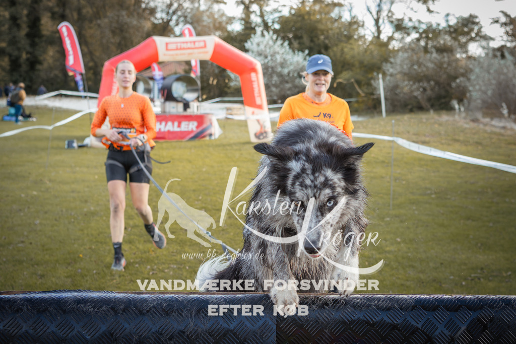1318_ZZ90116-2 | kk-dogfotos
