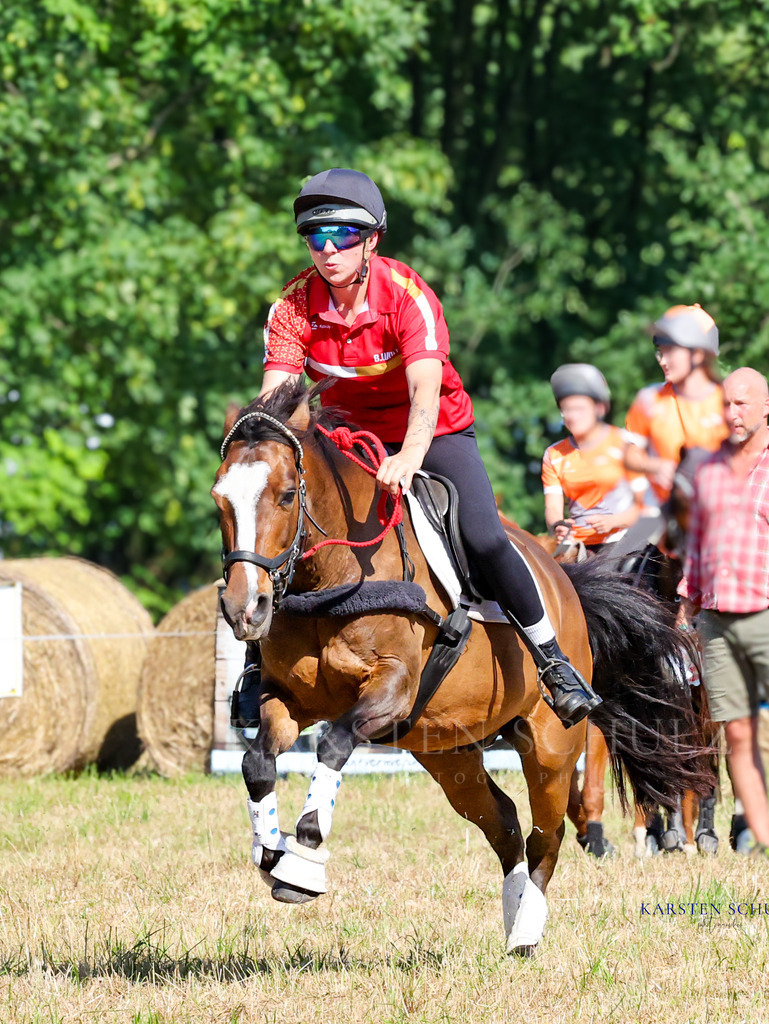 1B3A7790 | Reitsport Reiten