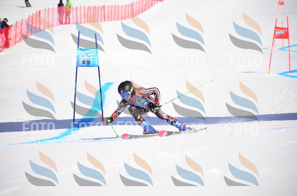 VR4_8947 | holidayphoto