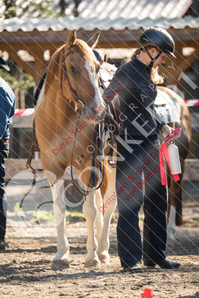 IMG_6862 | Sport-, Event- und Tierfotos in Profiqualität. Einfach auswählen, bestellen und herunterladen. Dein Moment – perfekt festgehalten.