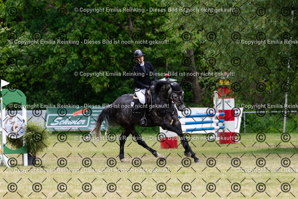 CL5A8300 | Emilia Reinking Fotografie - Realisiert mit Pictrs.com