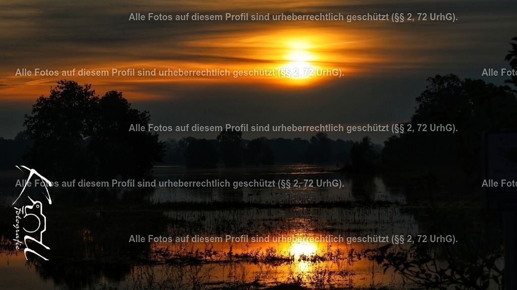 Photo_1727072318724 | krollfotografie - Realisiert mit Pictrs.com