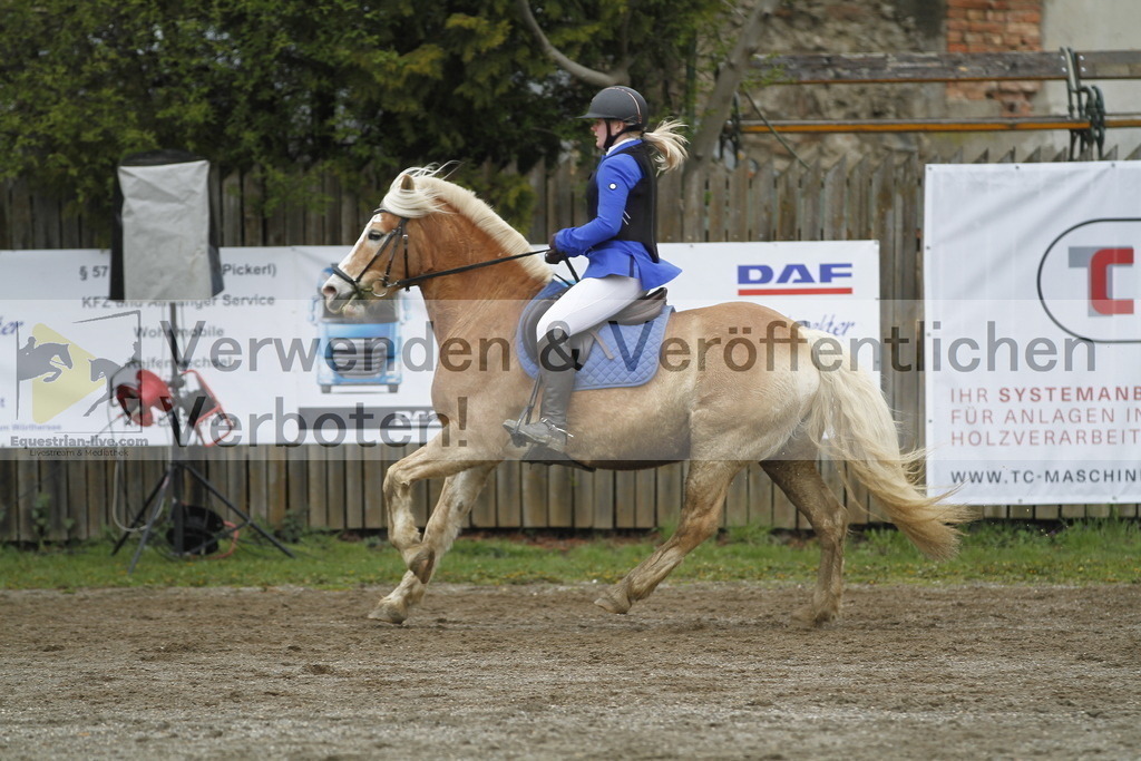 _MG_3452 | equestrian-live-com